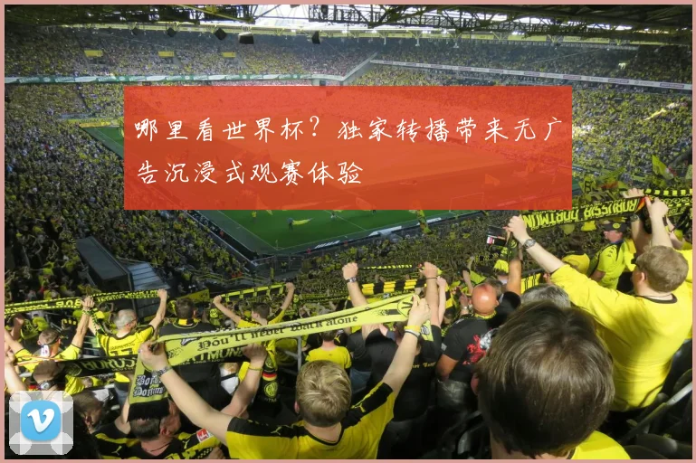 哪里看世界杯？独家转播带来无广告沉浸式观赛体验