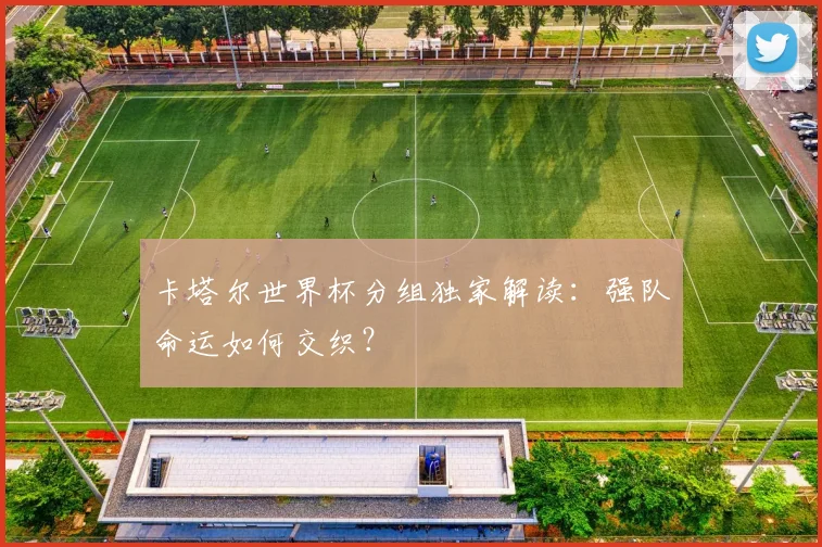 卡塔尔世界杯分组独家解读：强队命运如何交织？